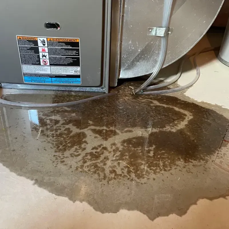 Appliance Leak Cleanup in Morgan Park, IL